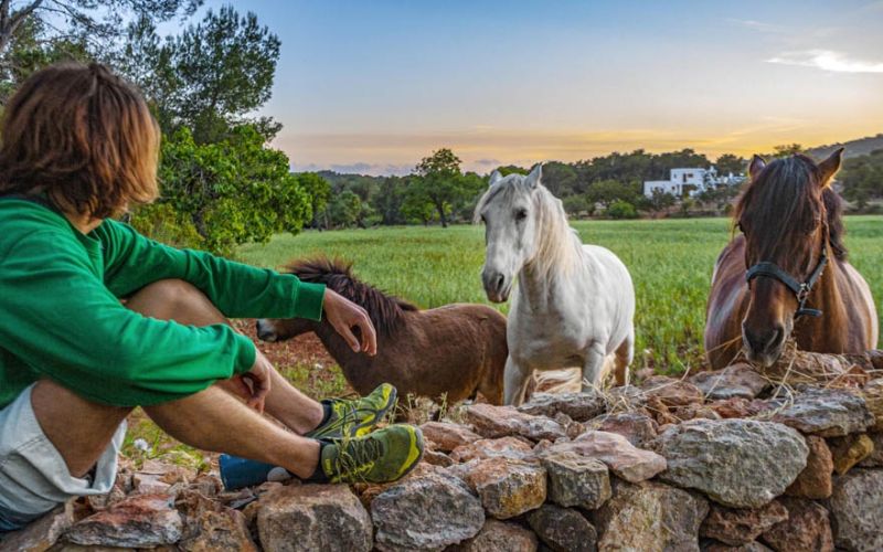 The longest trail in Ibiza