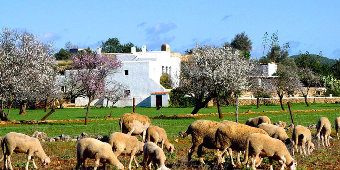 By car, motorbike or bike: cultural route around Santa Eulalia