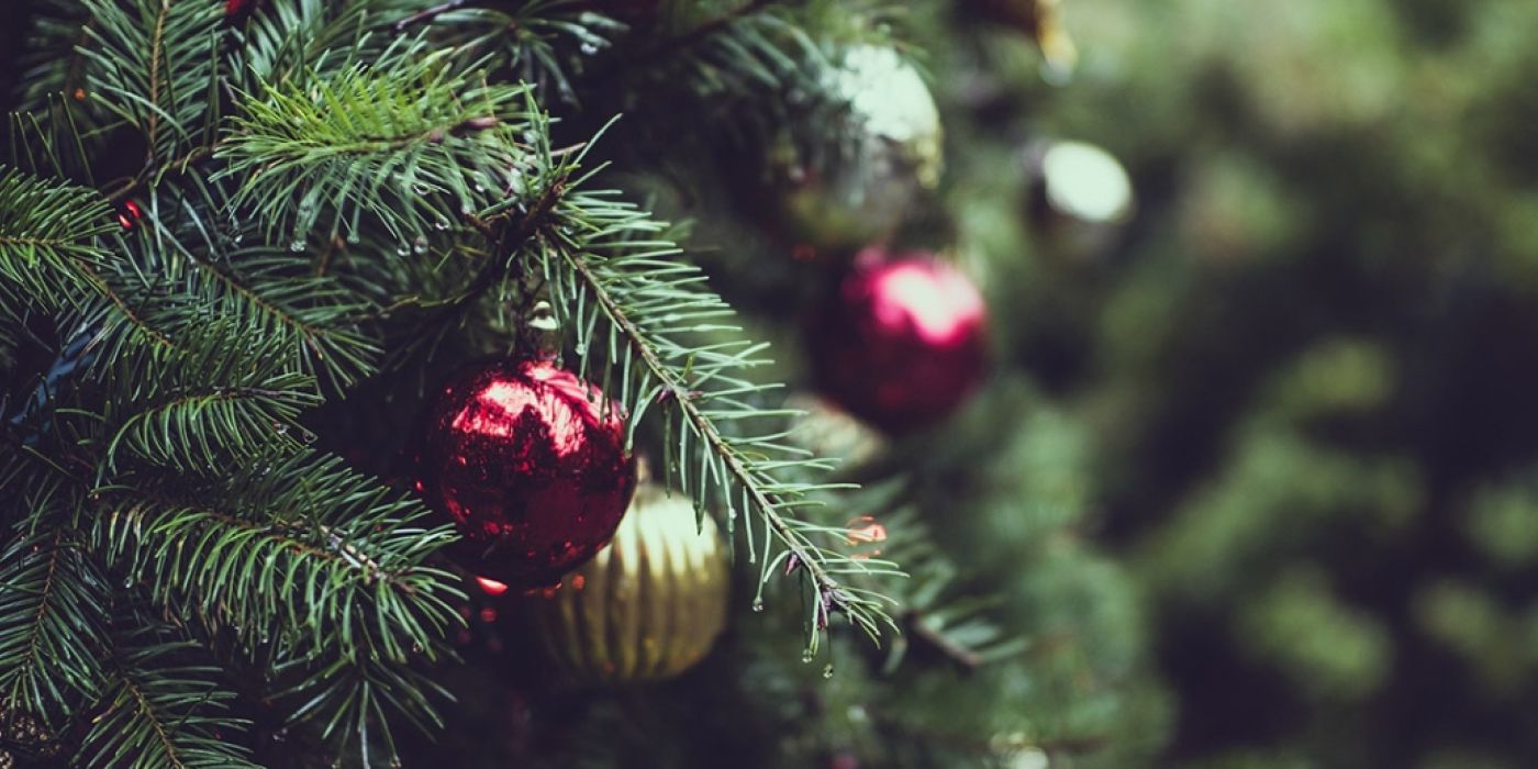 A traditional Christmas in Ibiza