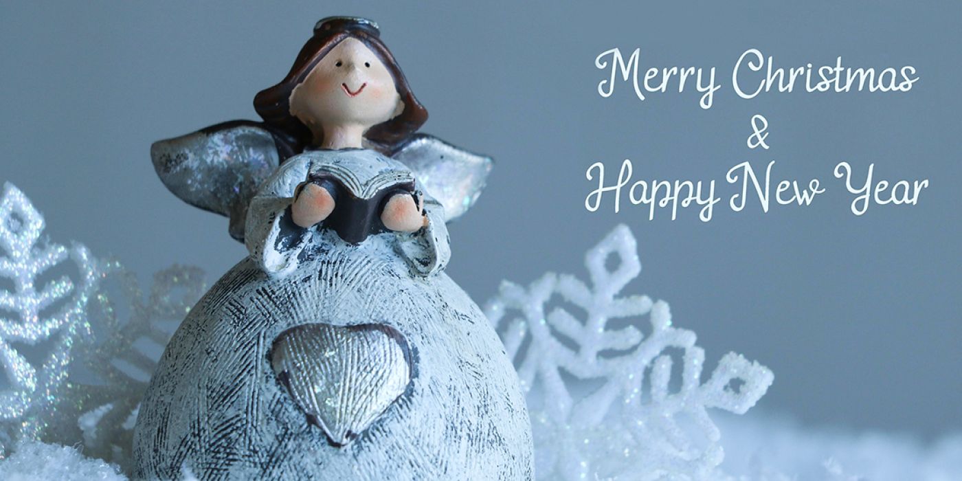 ¡Felices fiestas y feliz 2026!
