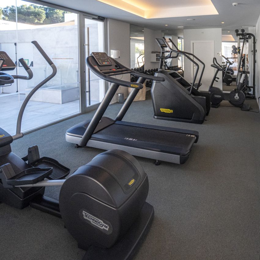 Gimnasio