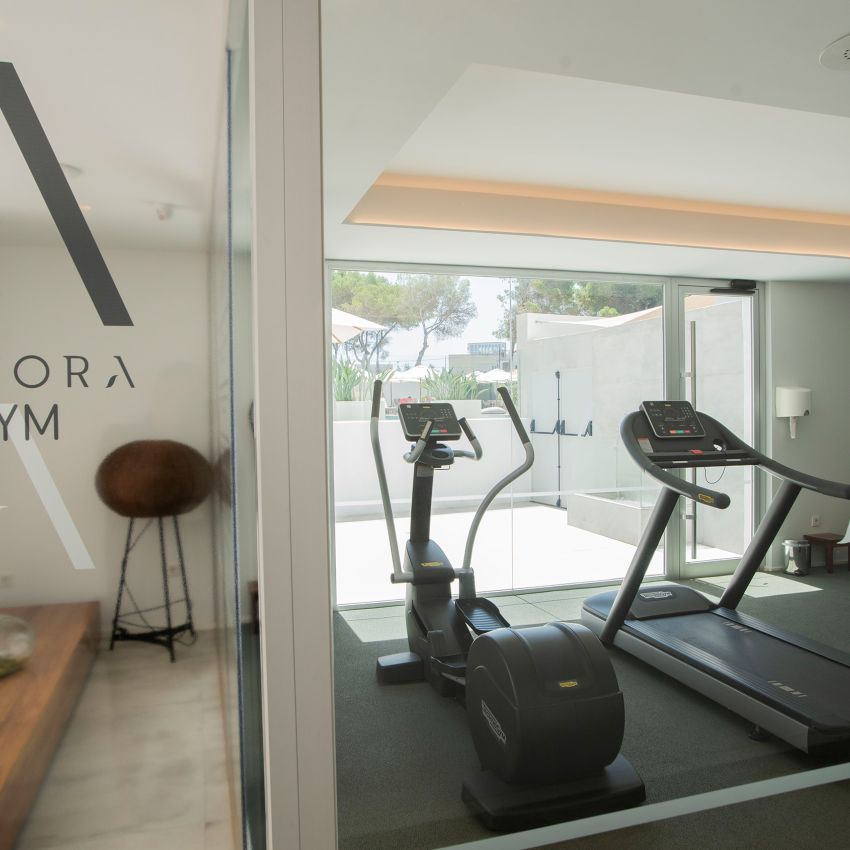 Gimnasio